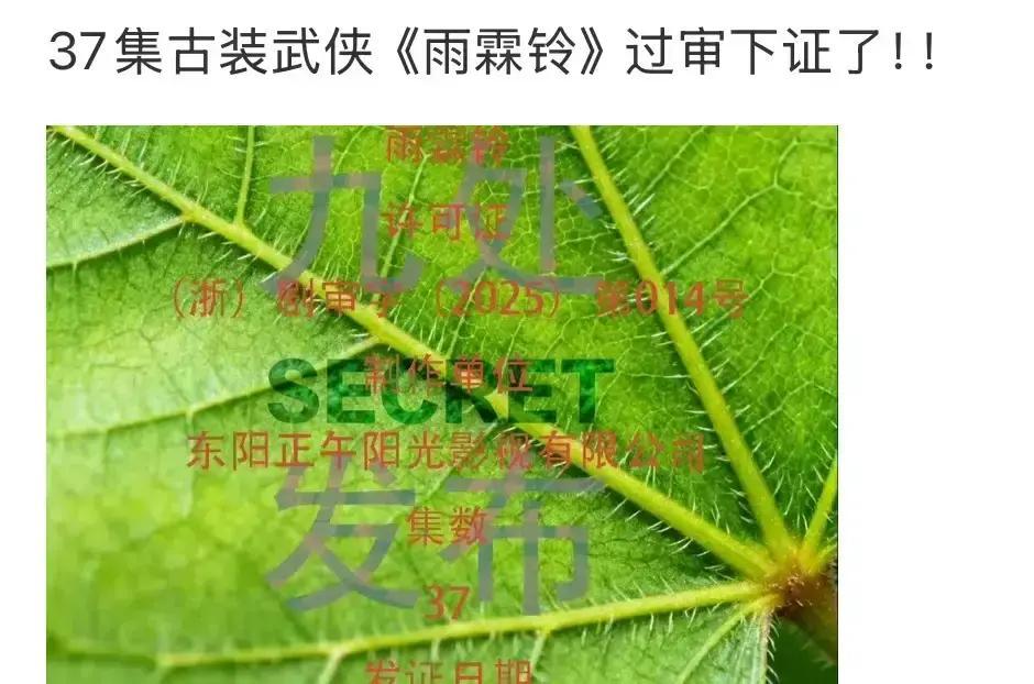 12月11日，杨洋新剧《雨霖铃》官宣定档，评论区瞬间炸锅：古装武侠又来？钱包还没