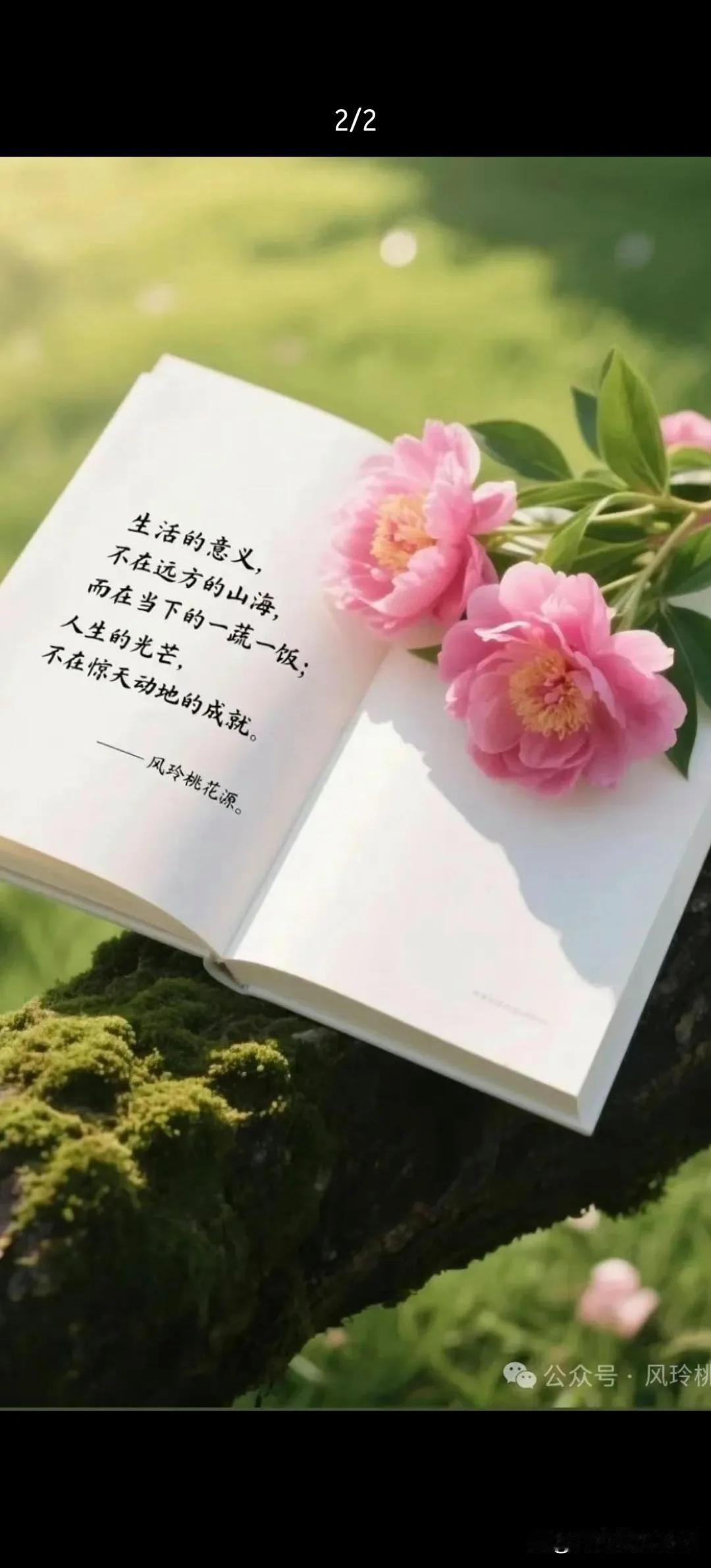 在人生的漫漫长路上，我们会遇到形形色色的人，经历各种各样的事。有时候，我们会看清