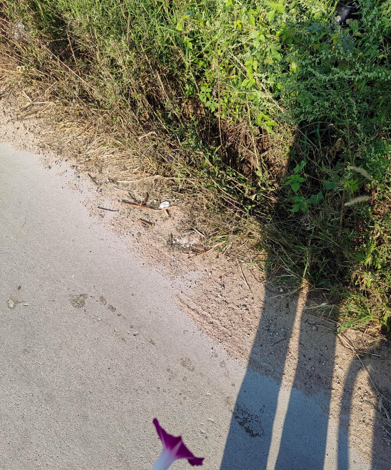 我邻居家的女儿今年32了，六年前不顾爸妈反对，硬是远嫁到了广东。去年过年的时