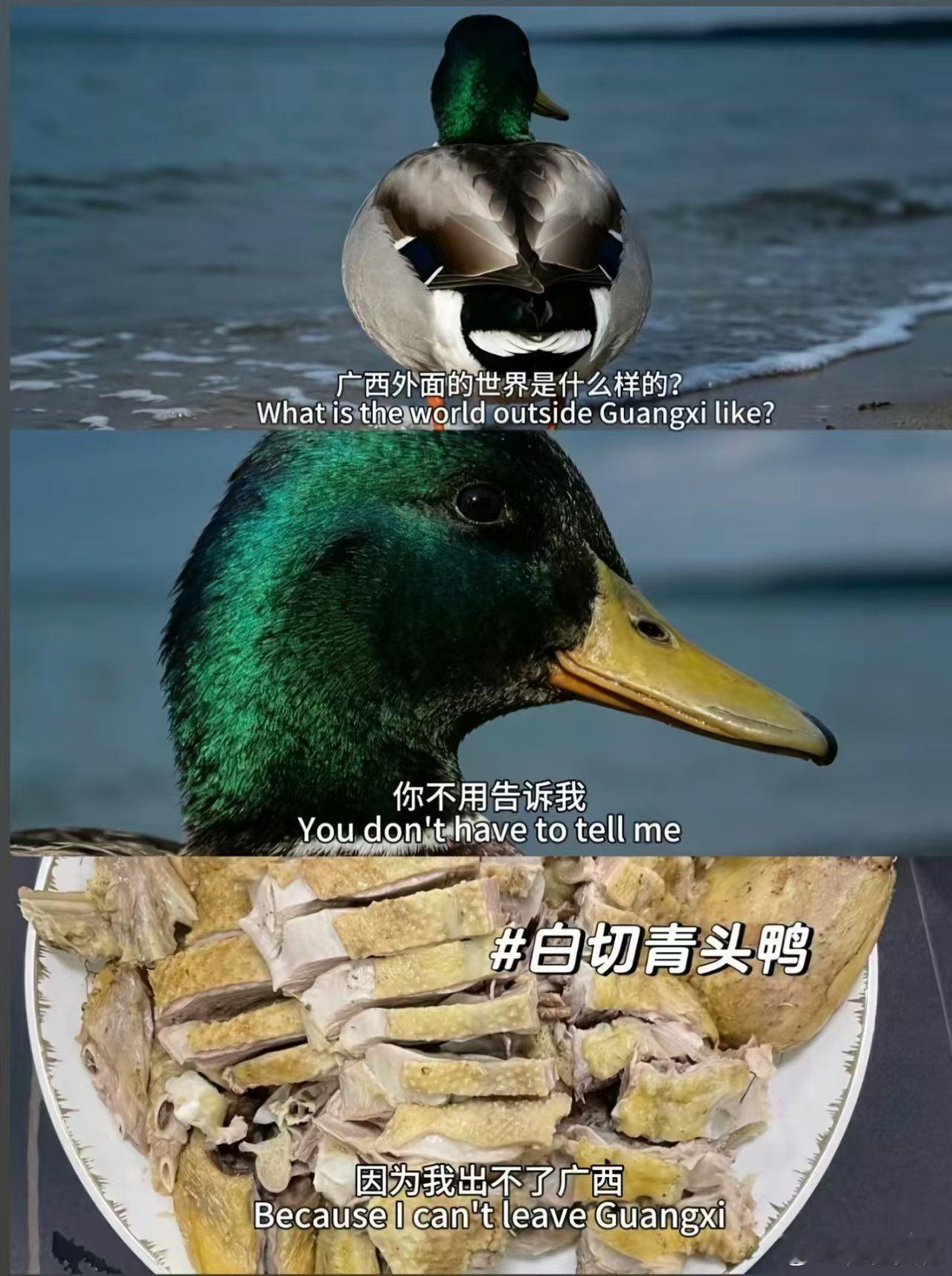 群里发的有意思的图[大笑]​​​