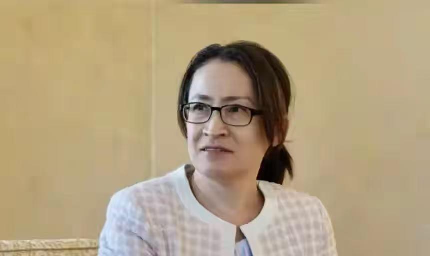 国民党主席选举，赵少康正式表态，或与韩国瑜结盟，郑丽文迎强敌国民党主席选举热闹