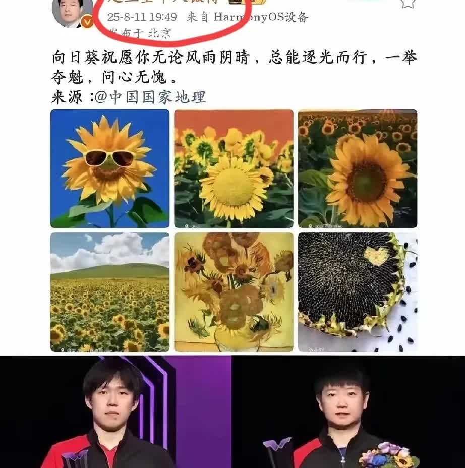 多读书真的有用！不信你看赵外交官，对王楚钦和孙颖莎的祝福并没有多高级，也