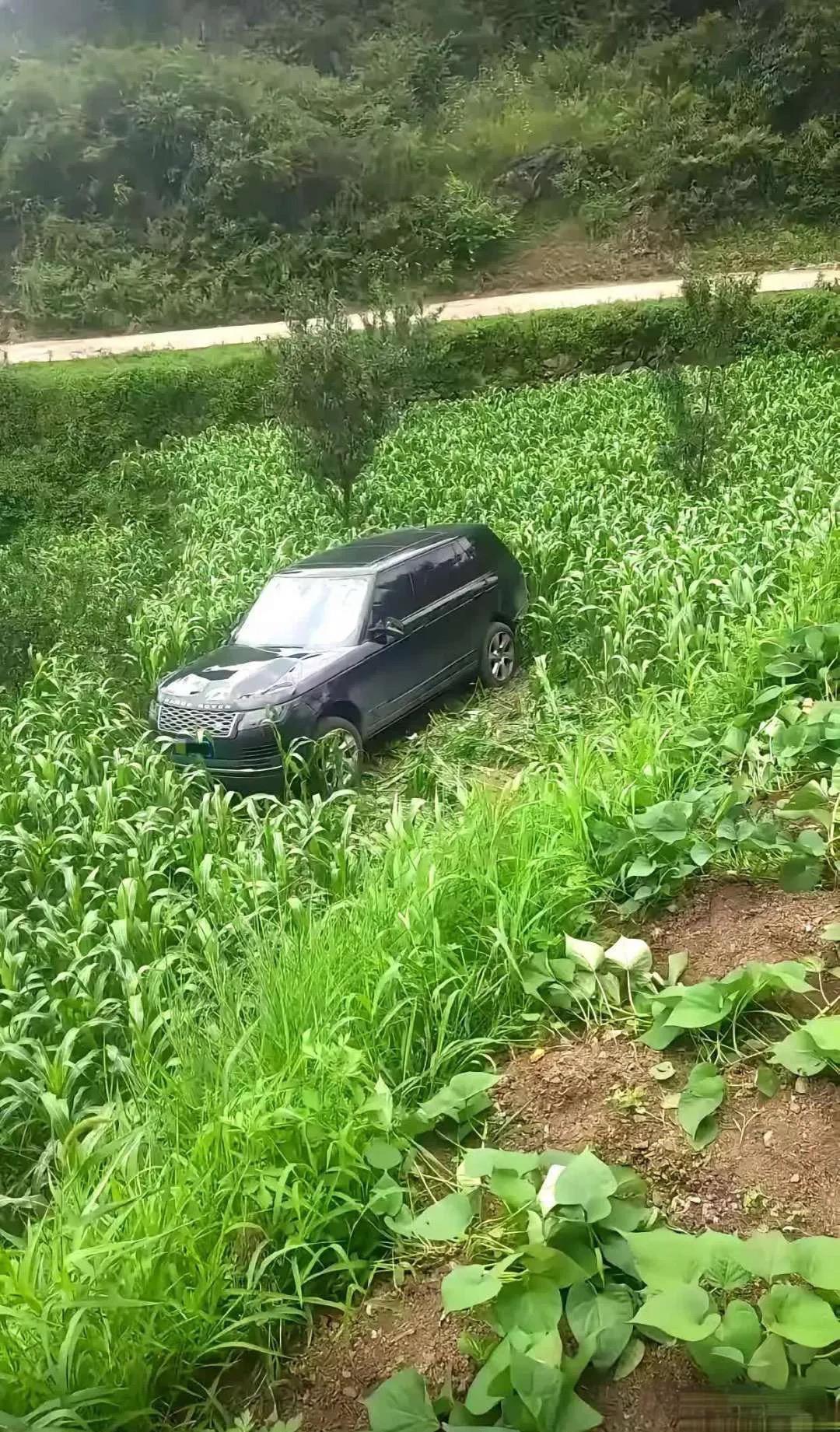 怎么还藏着掖着呢