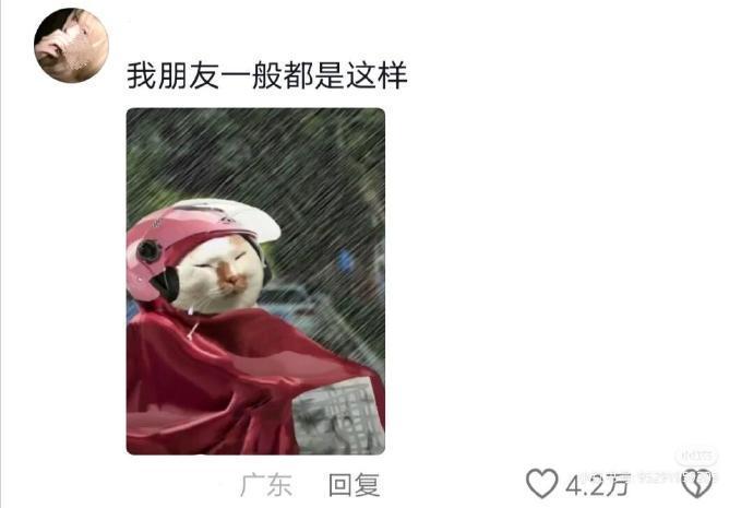 果然电动车是最具性缩力的交通工具​​​