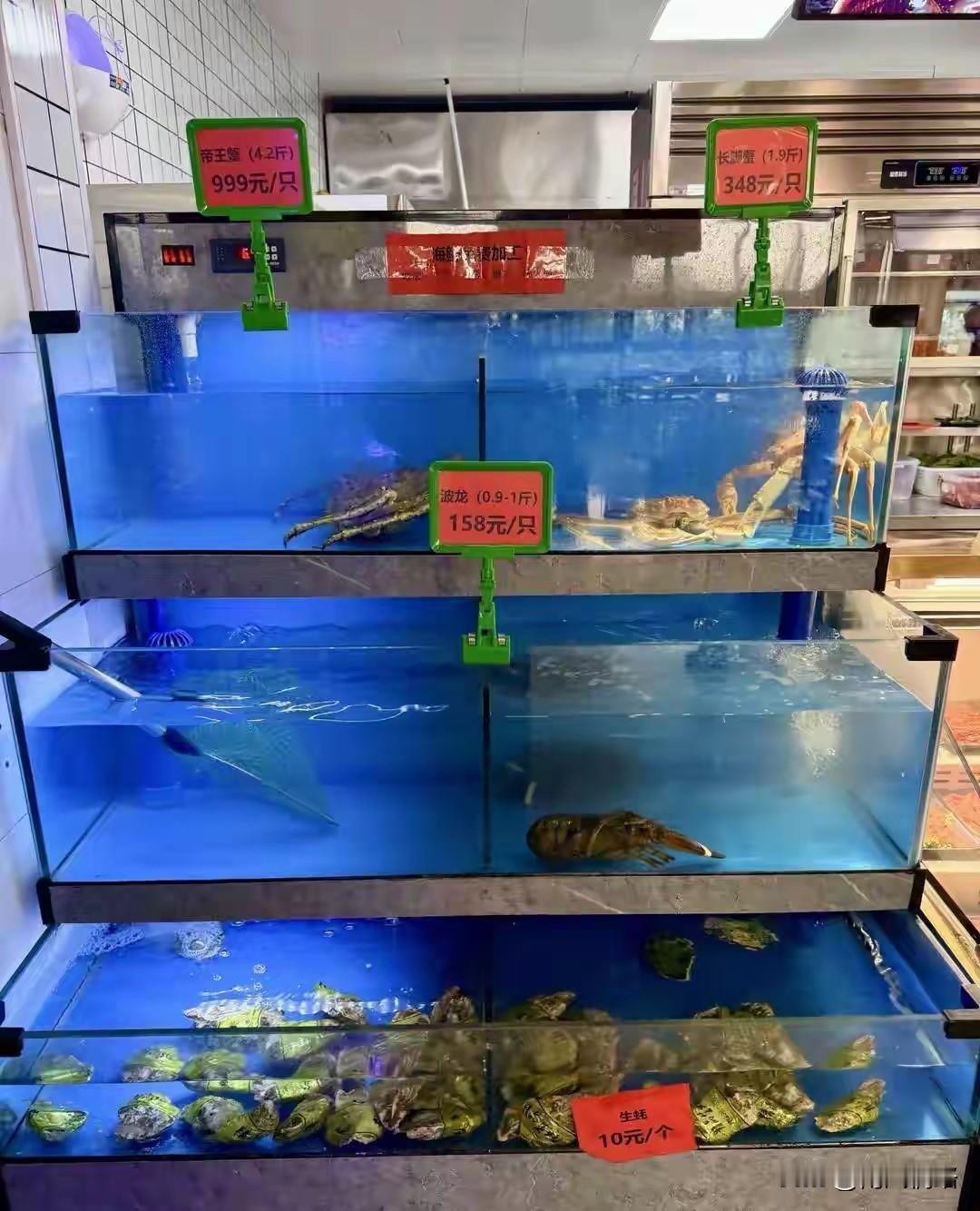 666，还得是你啊，南京大学，食堂里面有999块的帝王蟹，结果还有人买？就想