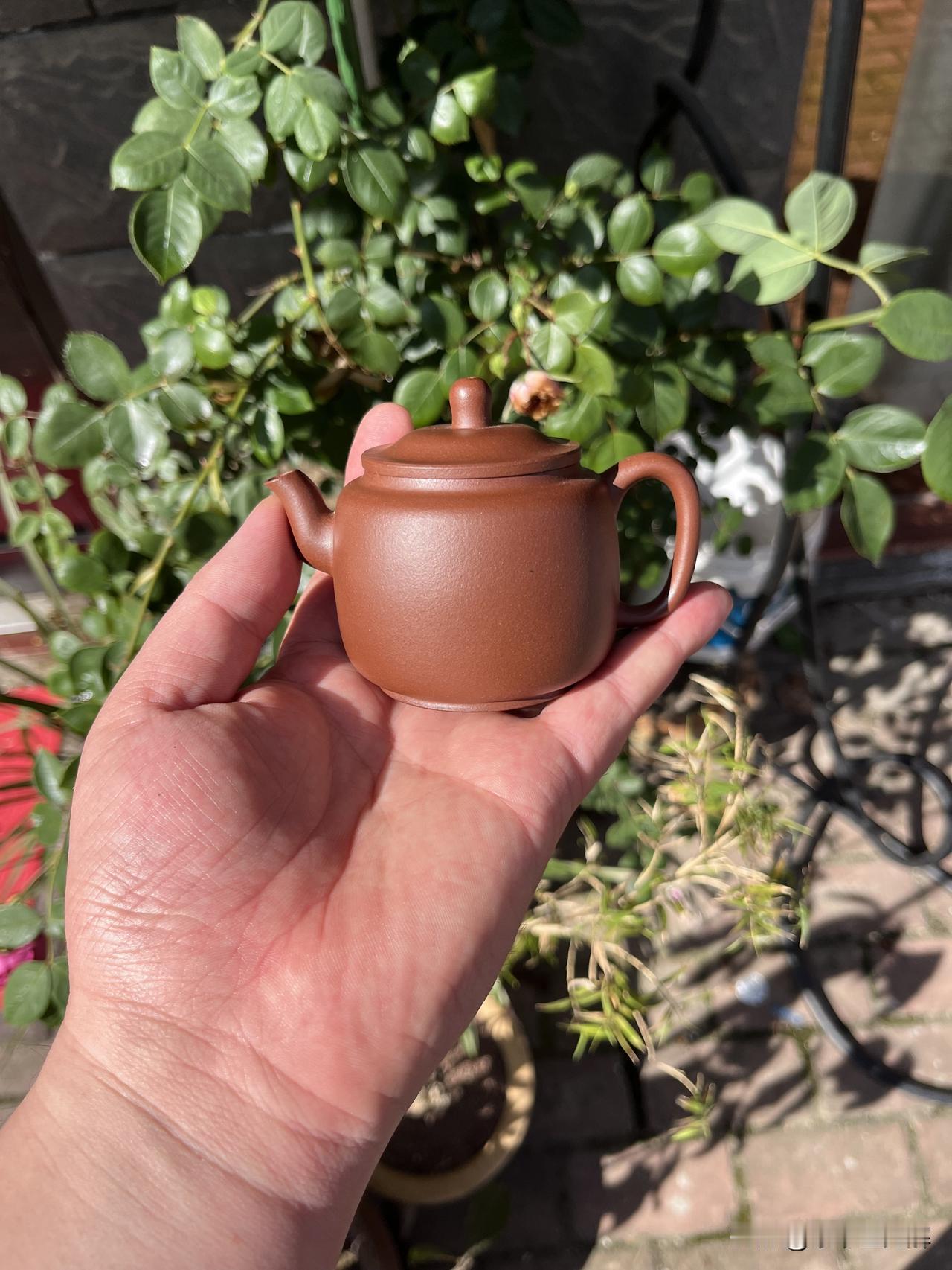 一生精品不足千把！不懂这3点，买再多也是“学费”！与其他艺术收藏品一样，紫砂壶