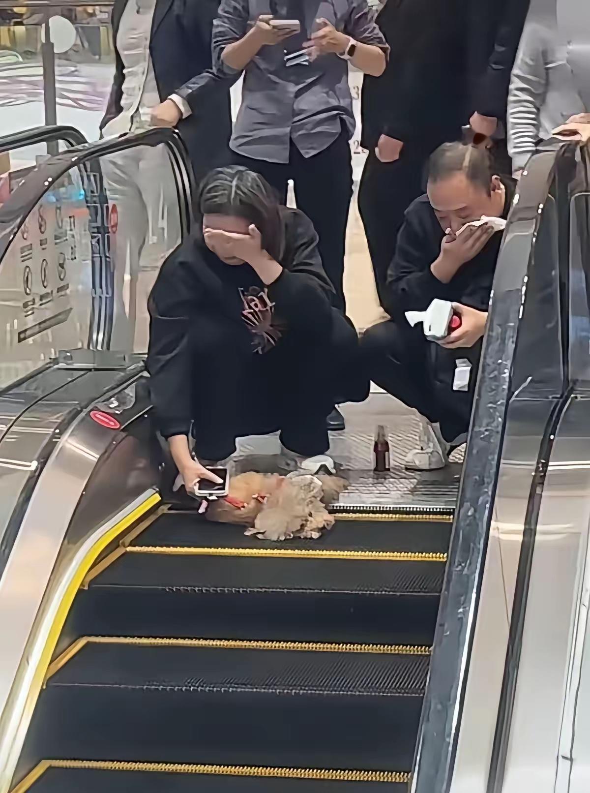 看着夫妻俩蹲在电梯口痛哭流涕，真没法说一句冷血的活该，但这悲剧真不是意外，是不守