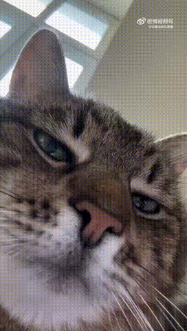 “视频的时候，对自己的相貌总有莫名的自信”