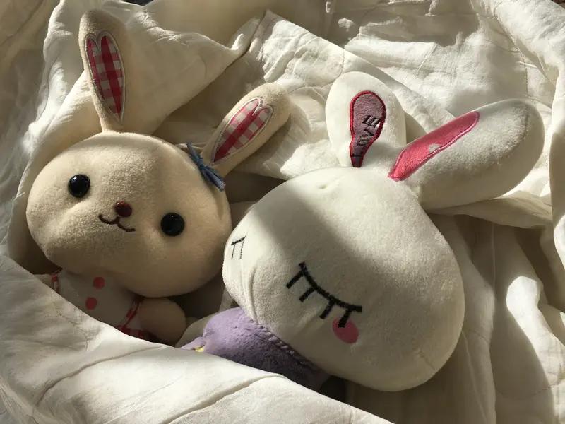 普京强硬表态：要么签和约，要么继续打出一个新俄罗斯：普京强硬要求乌克兰签符合俄意