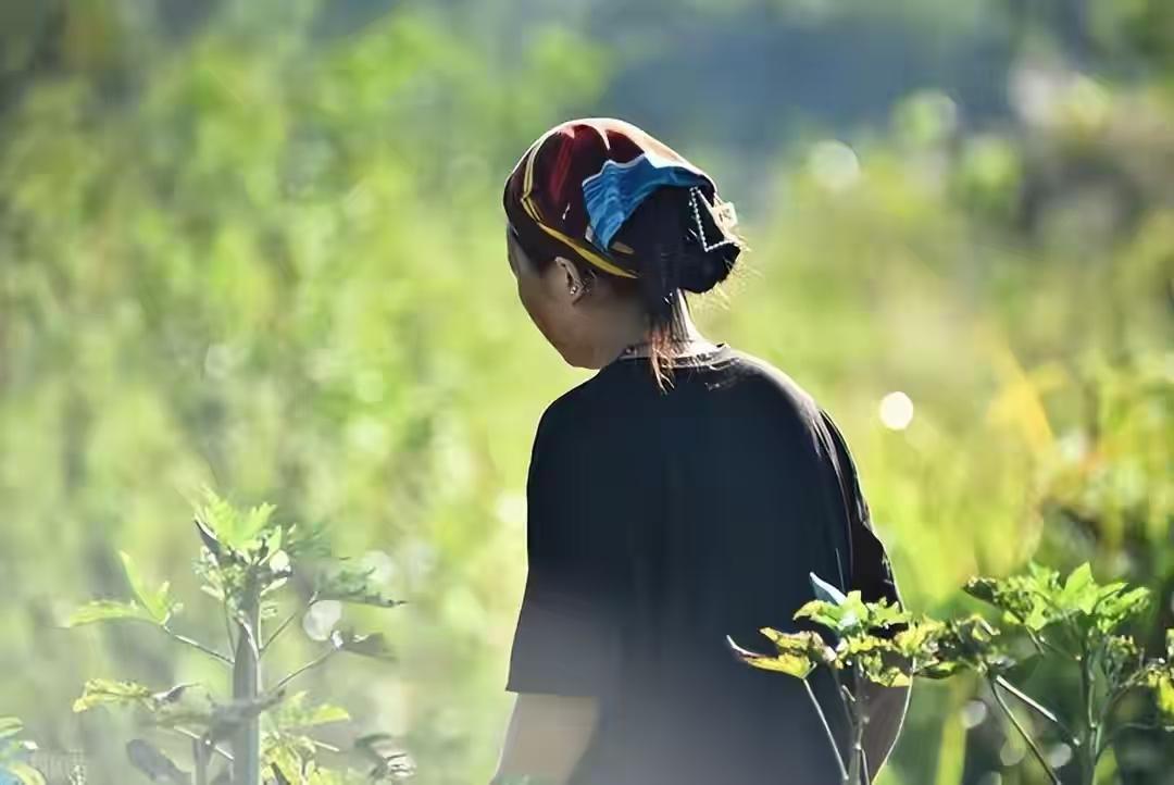 周家庄没分田，全国只剩这一个保留乡级集体经济模式的乡；人民公社体制早已取消，它还