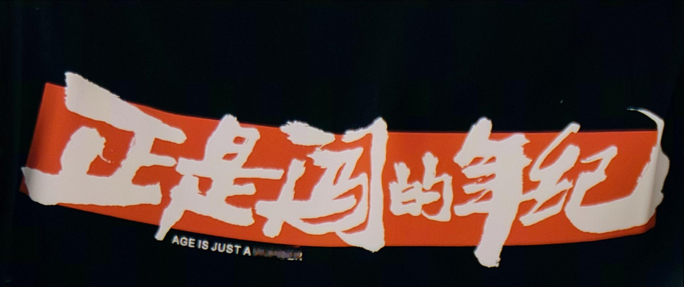 雷军T恤俗话说得好，男人五十一枝花五六十岁，正是闯的年纪啊同学们！