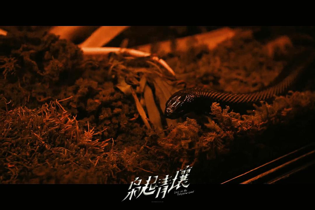 《枭起青壤》不管是剧情或是拍摄手法， 这部剧都能算上一流 ，整部剧给人的感