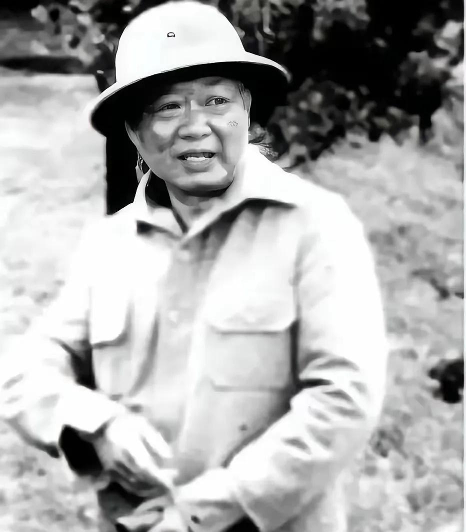 1964年，段希文带着国民党残军将武器上缴给了泰军，不料当晚，就有大股武装袭击美