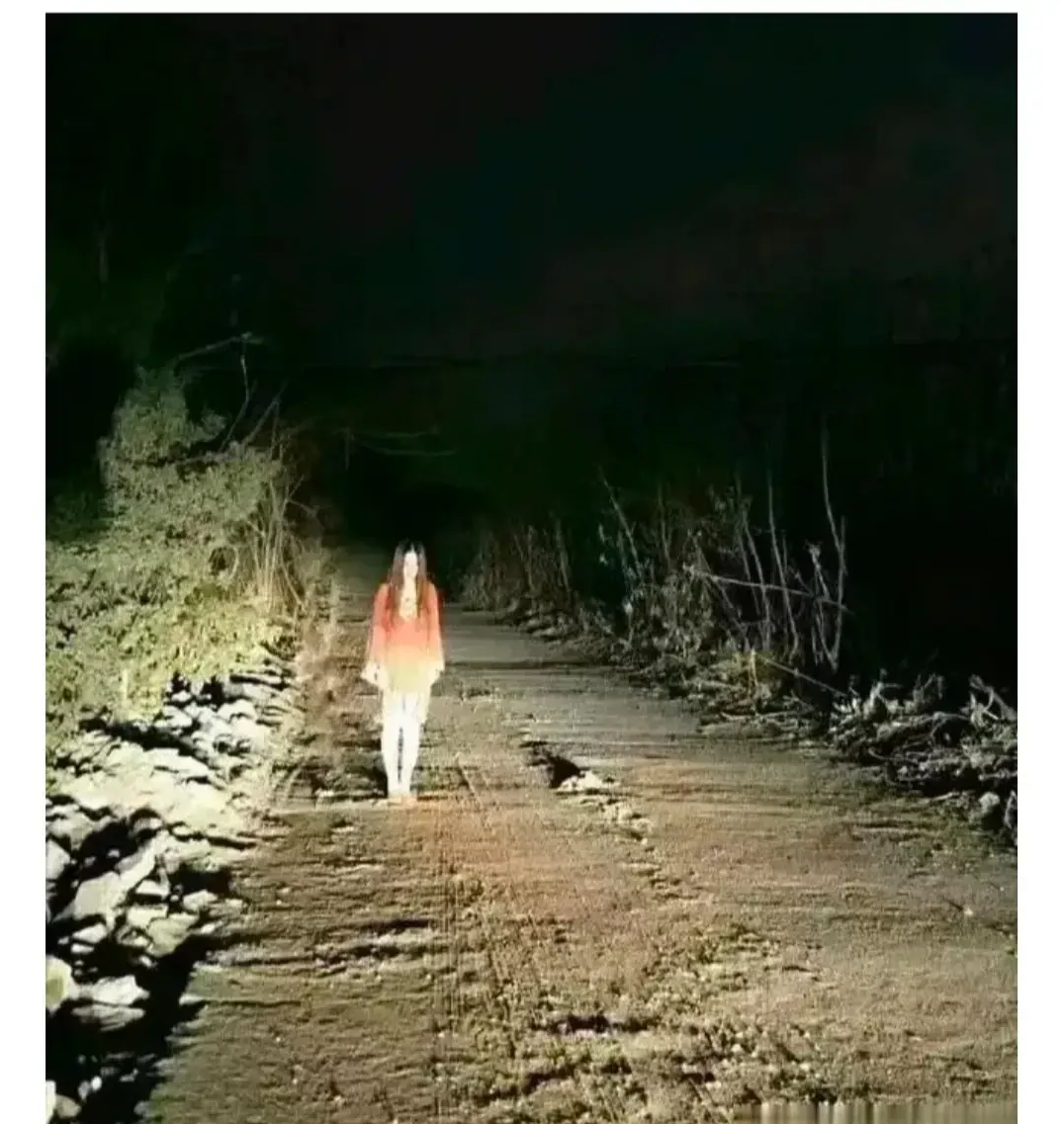 晚上在路上遇到这个，你会怎么做？
