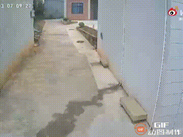 福建一位妈妈晒出了自己一天的日常，表示自己非常辛苦，引起了网友热烈的讨论，大家一