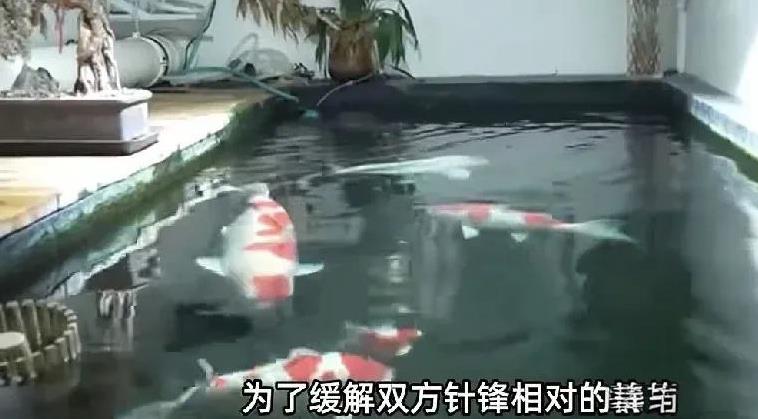 北京，一男子家在1楼，楼下是邻居家购买的储藏室，邻居把储藏室改建成了大型养鱼池，