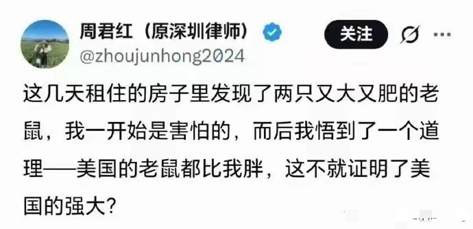 舔美的脑回路确实都不正常。