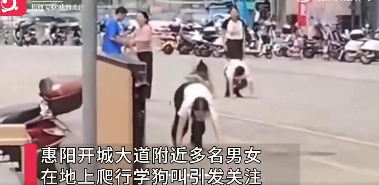 这事儿听起来就离谱——惠州街头，一群人穿着便服，像狗一样趴在地上爬，还时不时学狗