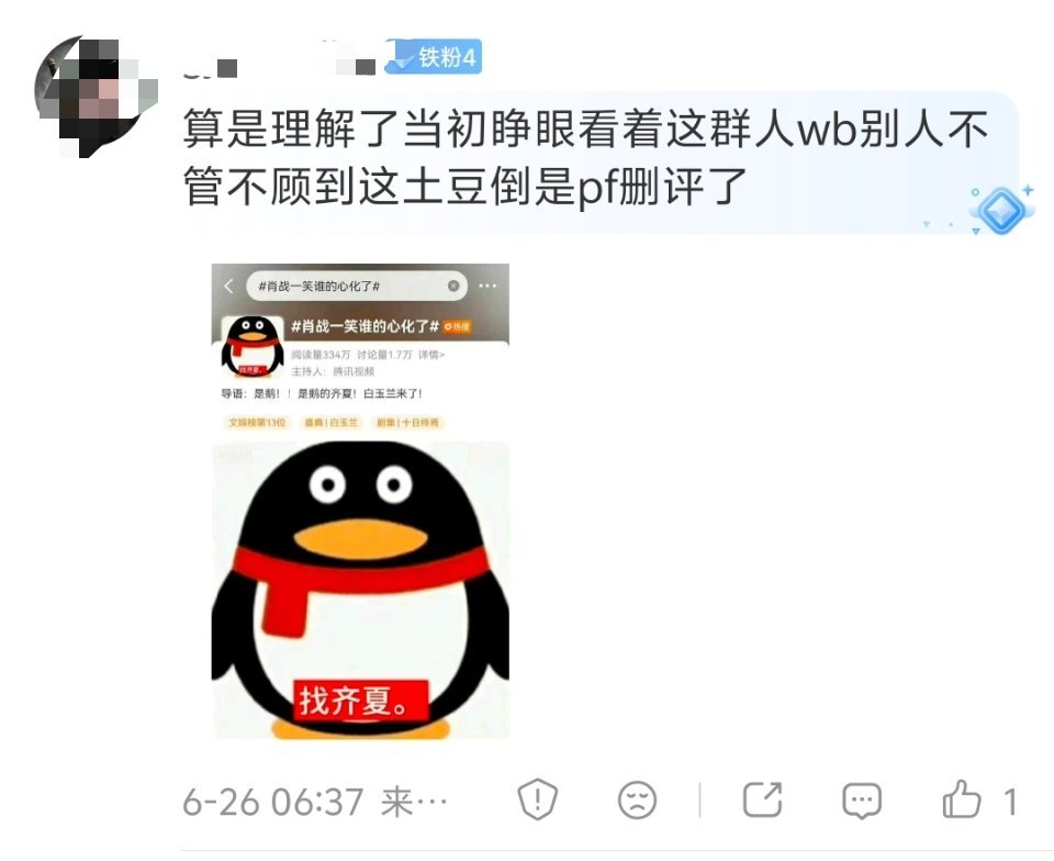 现在才理解吗？虽然腾讯视频皮下实习生经常有些莫名其妙的追星行为，但本质还是利益关