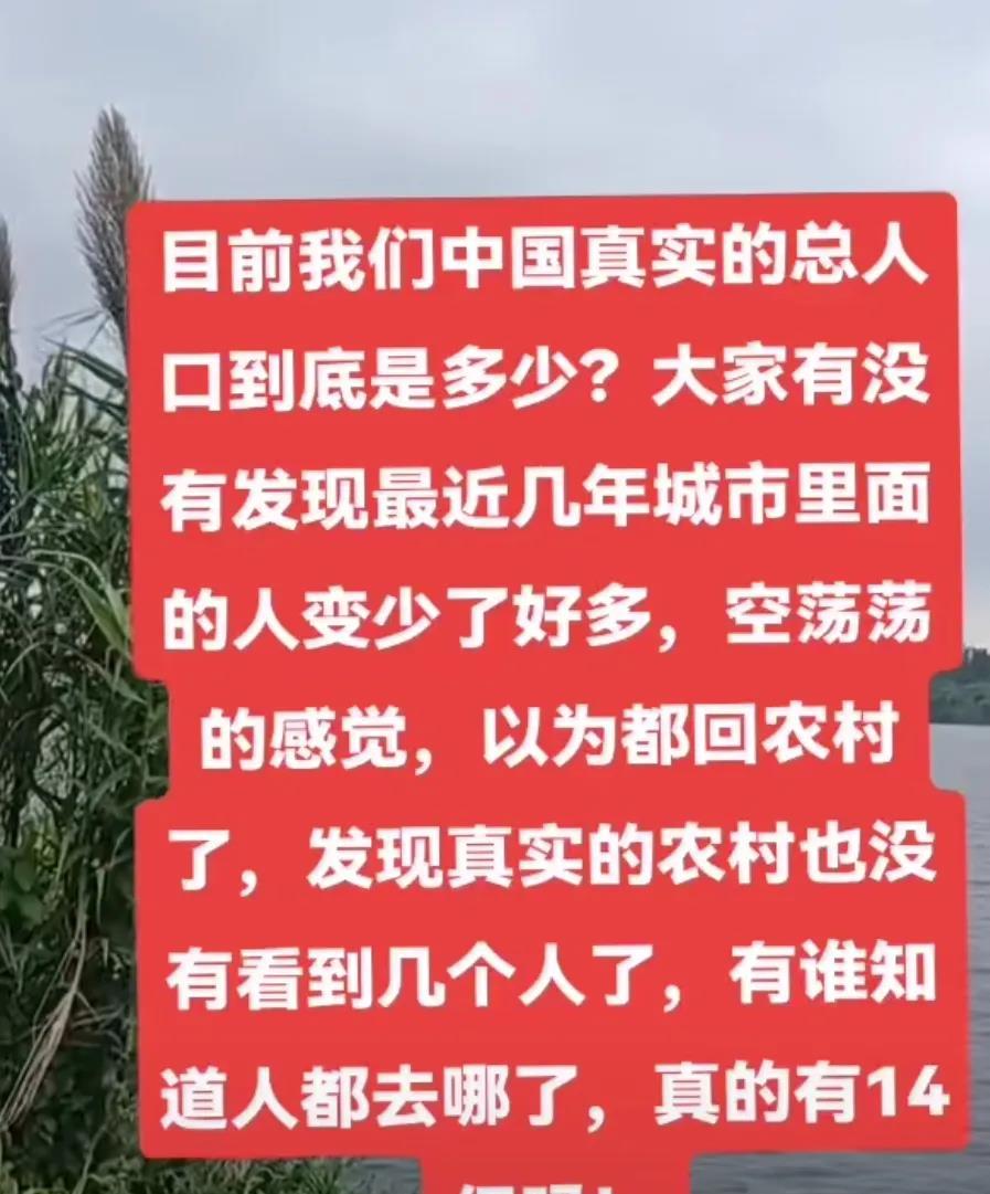 我不太相信现在国内还有14亿人口。现在农村四处都是空荡荡的，城市里的大街小巷，超