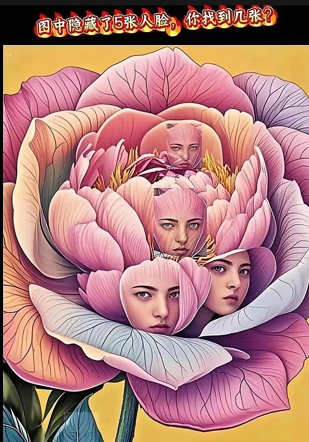 据说图中藏了五张人脸，我看来看去都只找到四张，是我视力不行吗？还是我的观察力太差