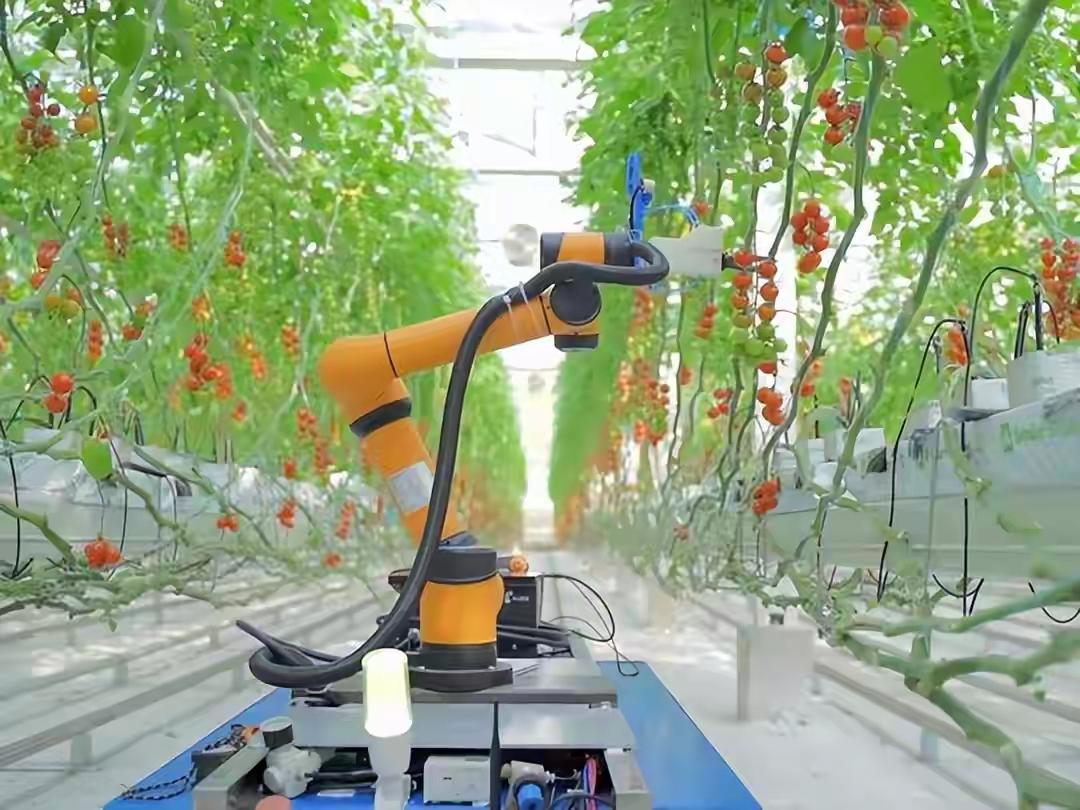 ✨程序员被AI淘汰是好事✨🐼贫道是学计算机的，也是搞软件开发的。软件开发