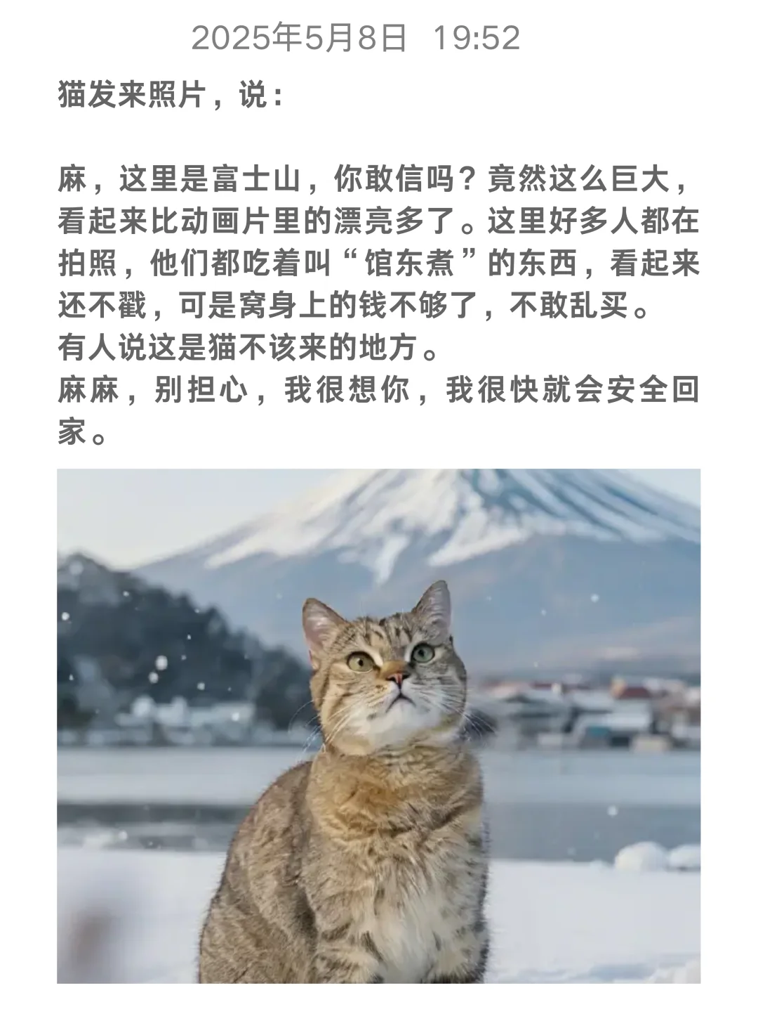 “麻，别为猫担心”