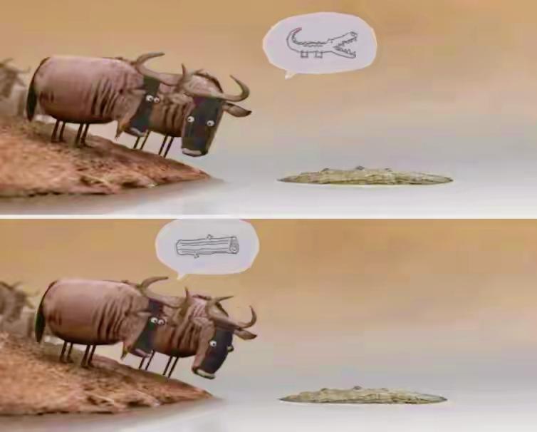 刘震云人若愚蠢一看便知，人最大的愚蠢，就是以为自己很聪明，其实只是愚蠢而不自知