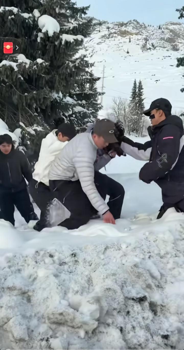 新疆阿勒泰可可托海雪豹伤人事件，看得人心里直犯嘀咕。那位女游客从滑雪场返回宾