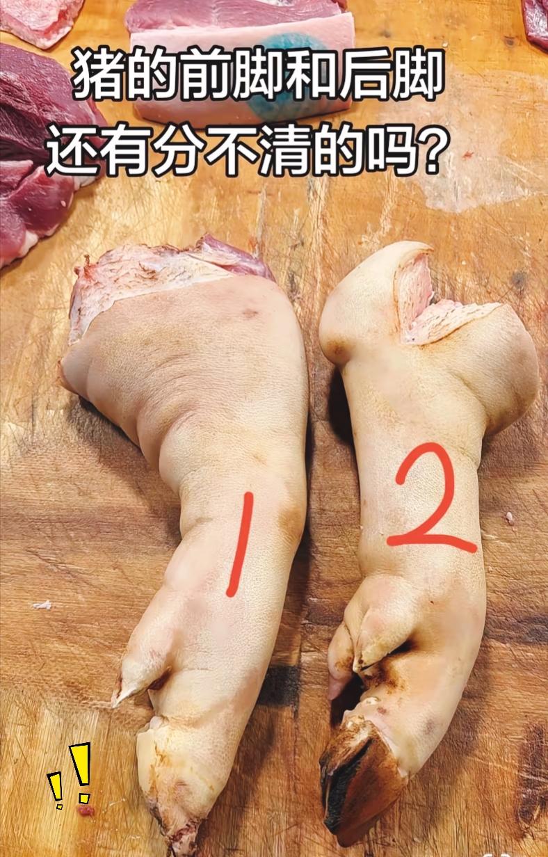 买了好多年猪肉，好多人到现在都分不清猪蹄哪个是前蹄、哪个是后蹄，很容易被摊主糊弄