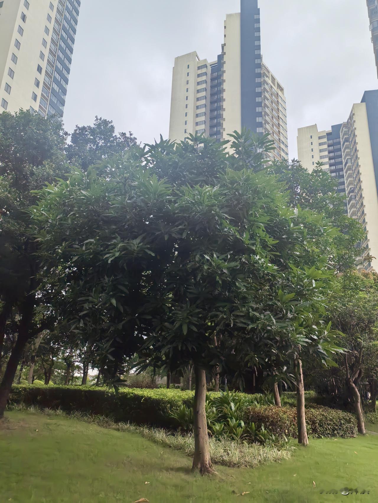失业两个月，我终于停止内耗：先谋生，再谋前路不知不觉，失业已经快两个月了。