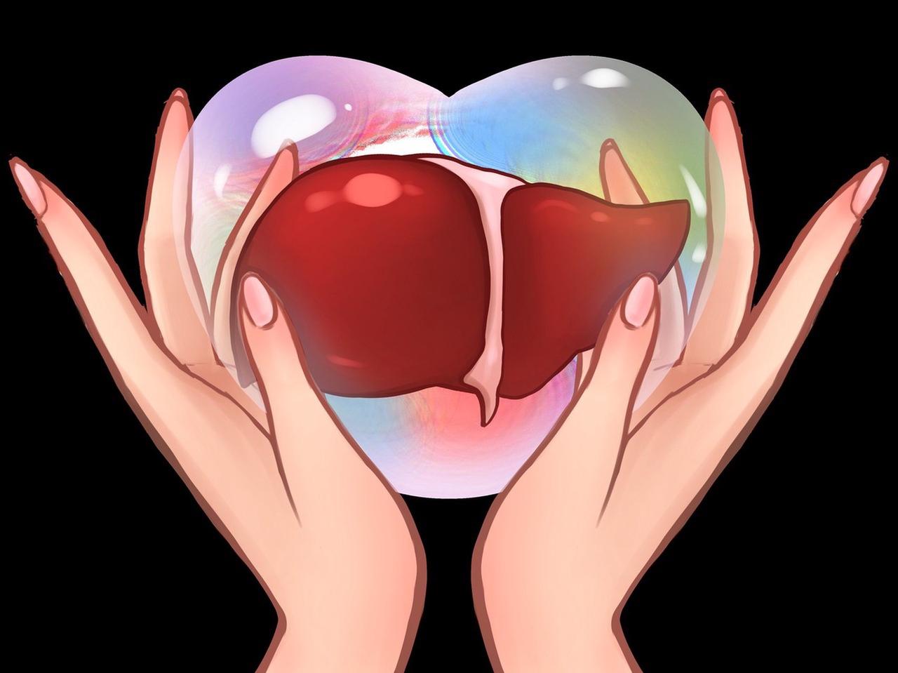 养肝没有绝对最好的方式，但综合多方面来做准没错。生活习惯上，得远离烟酒。过量饮