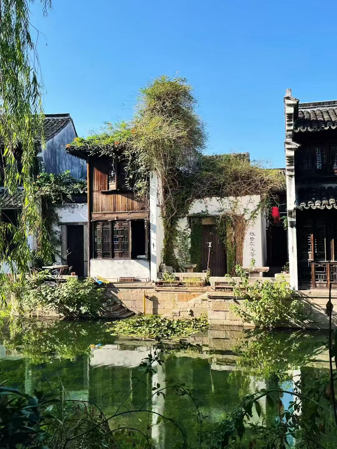 浙江嘉兴冬日旅游，月河街区游玩攻略！