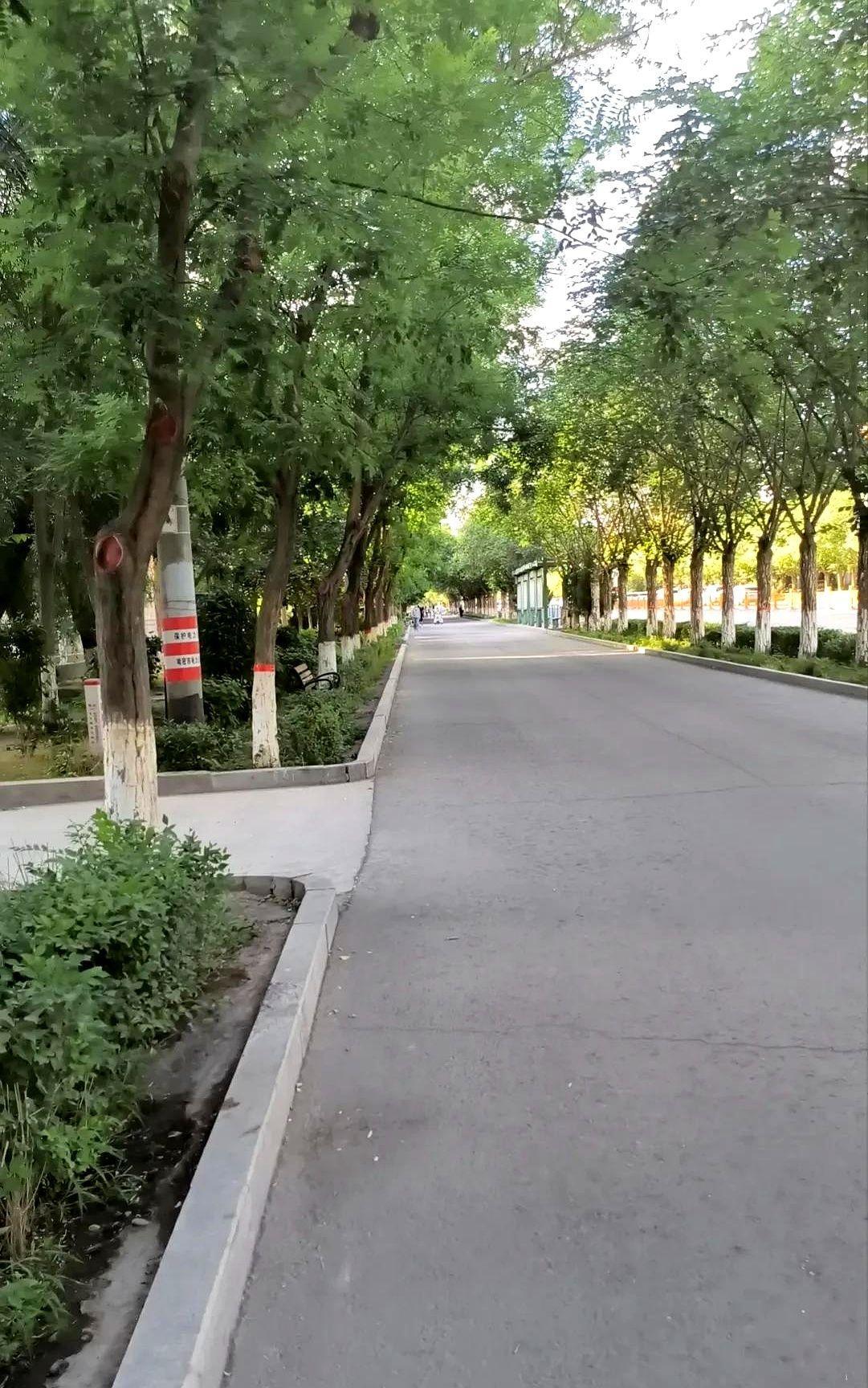 一个同事准备离职，这段时间一直在找工作。不过最近听到个新鲜词儿，试岗一周没工资