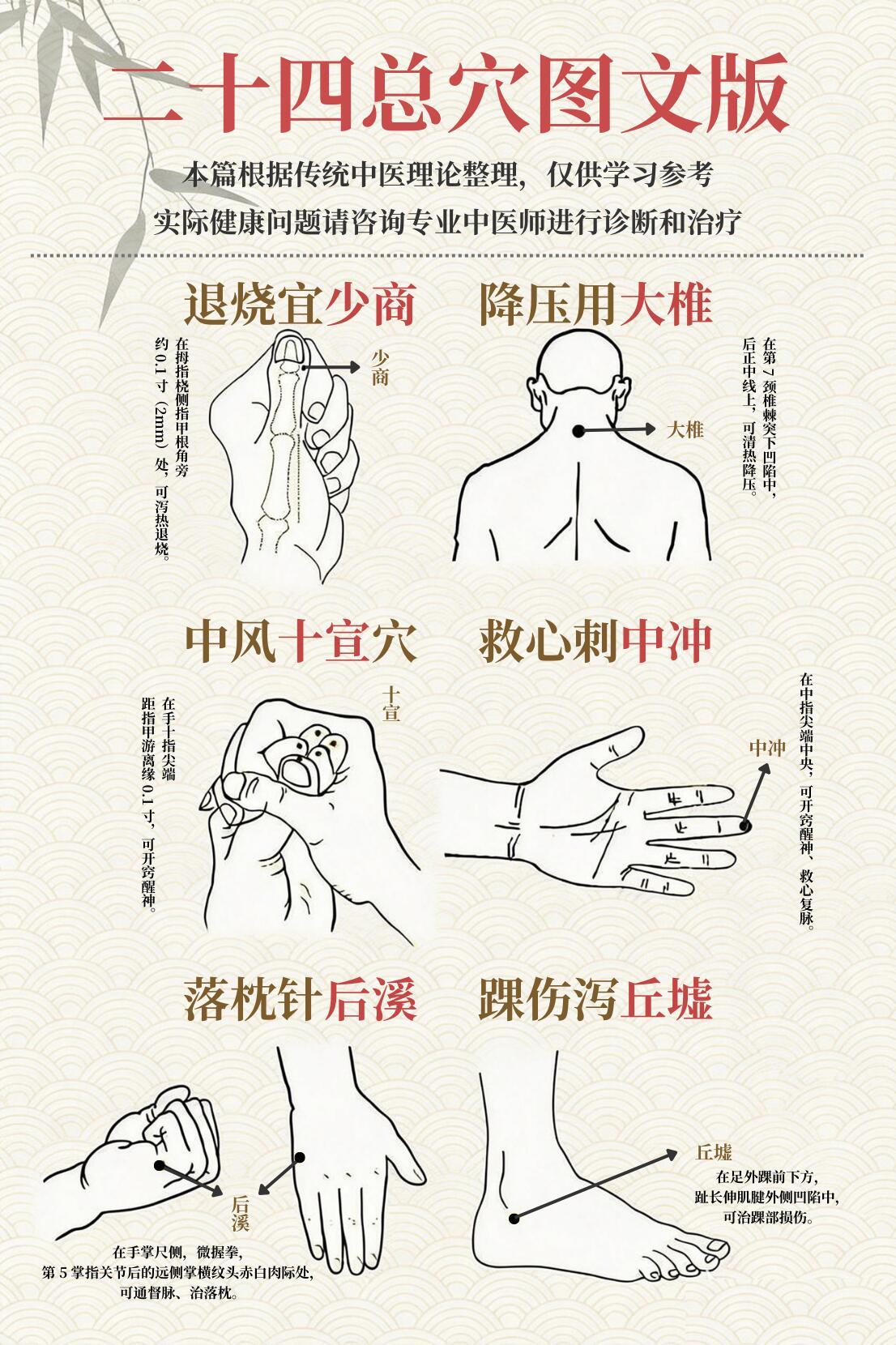 超实用✨二十四总穴速记！国医的精诚力量