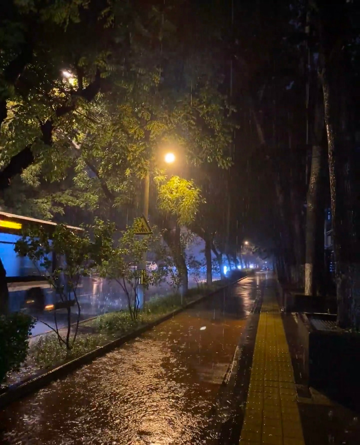 北方暴雨冷到破纪录是真冷的瑟瑟发抖，上一秒还在嘲笑朋友出门忘带伞了，下一秒发现自