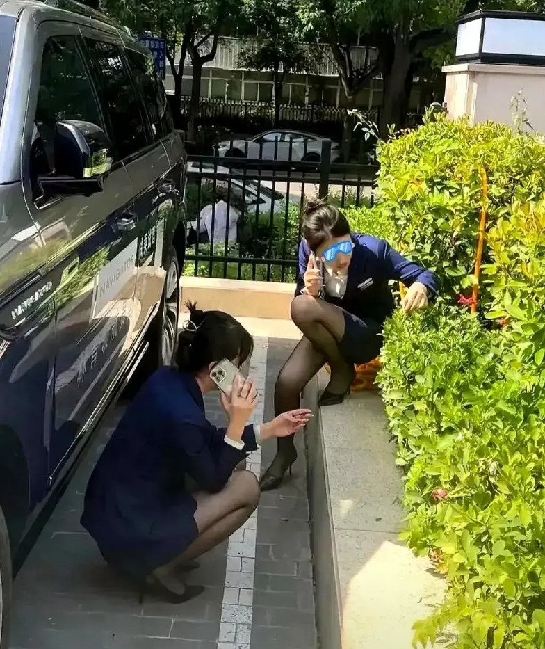 “现在还在买油车的人，真是脑子没转过来，思维还没跟上发展！”侄女斩钉截铁的说！