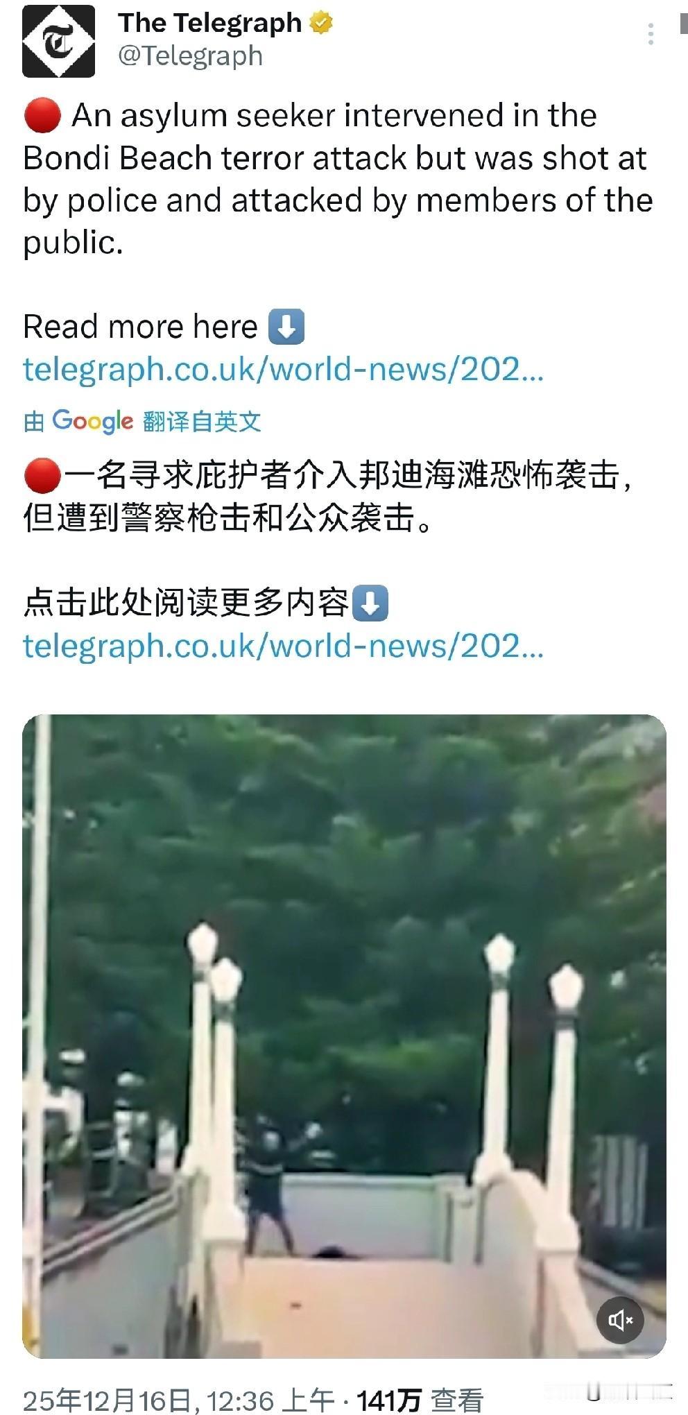 澳大利亚帮邦迪海滩这次，爆出来的全是中东移民见义勇为，冒生命危险阻止印度父子继续