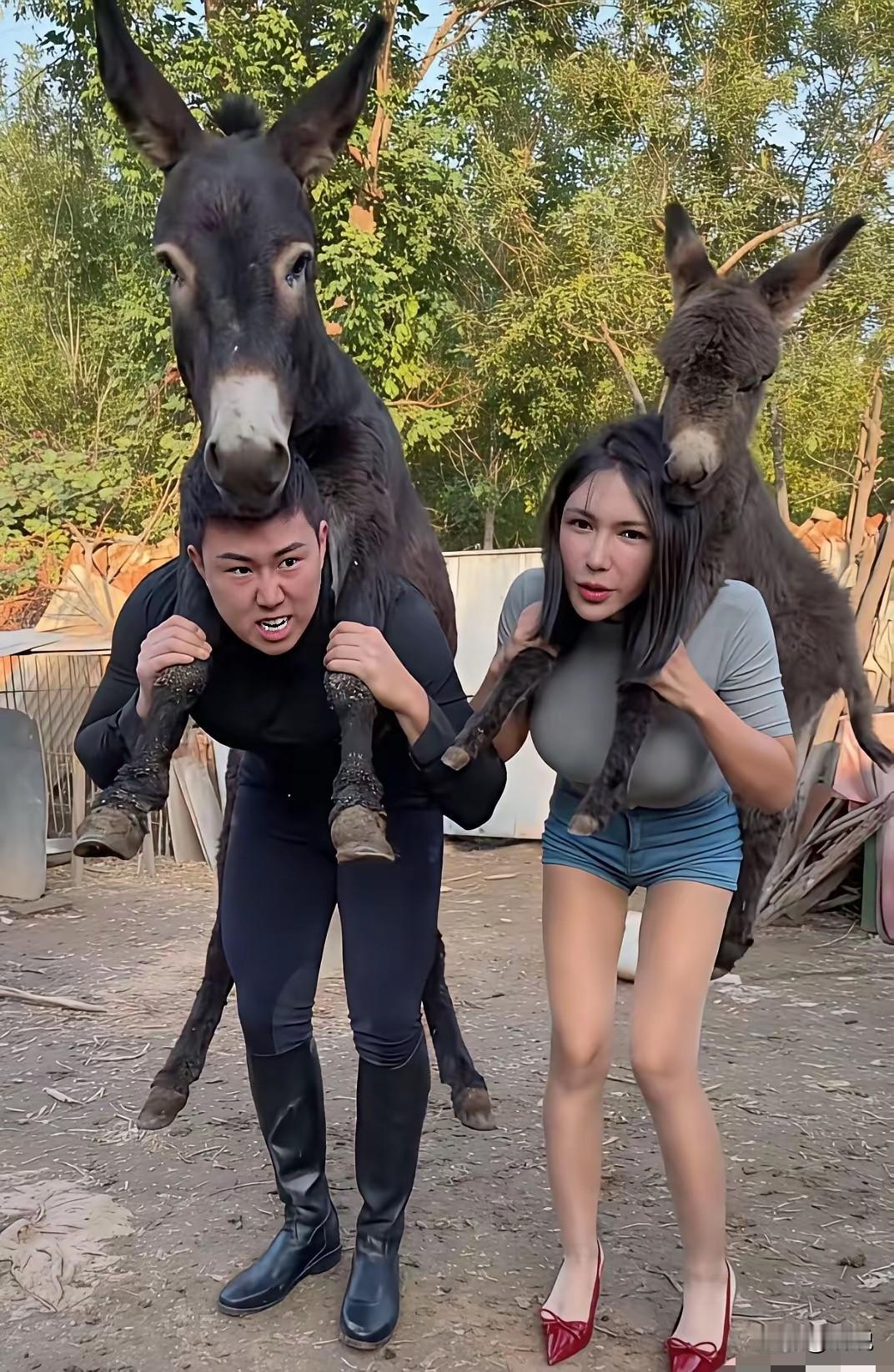 以前人骑驴，现在驴骑人！