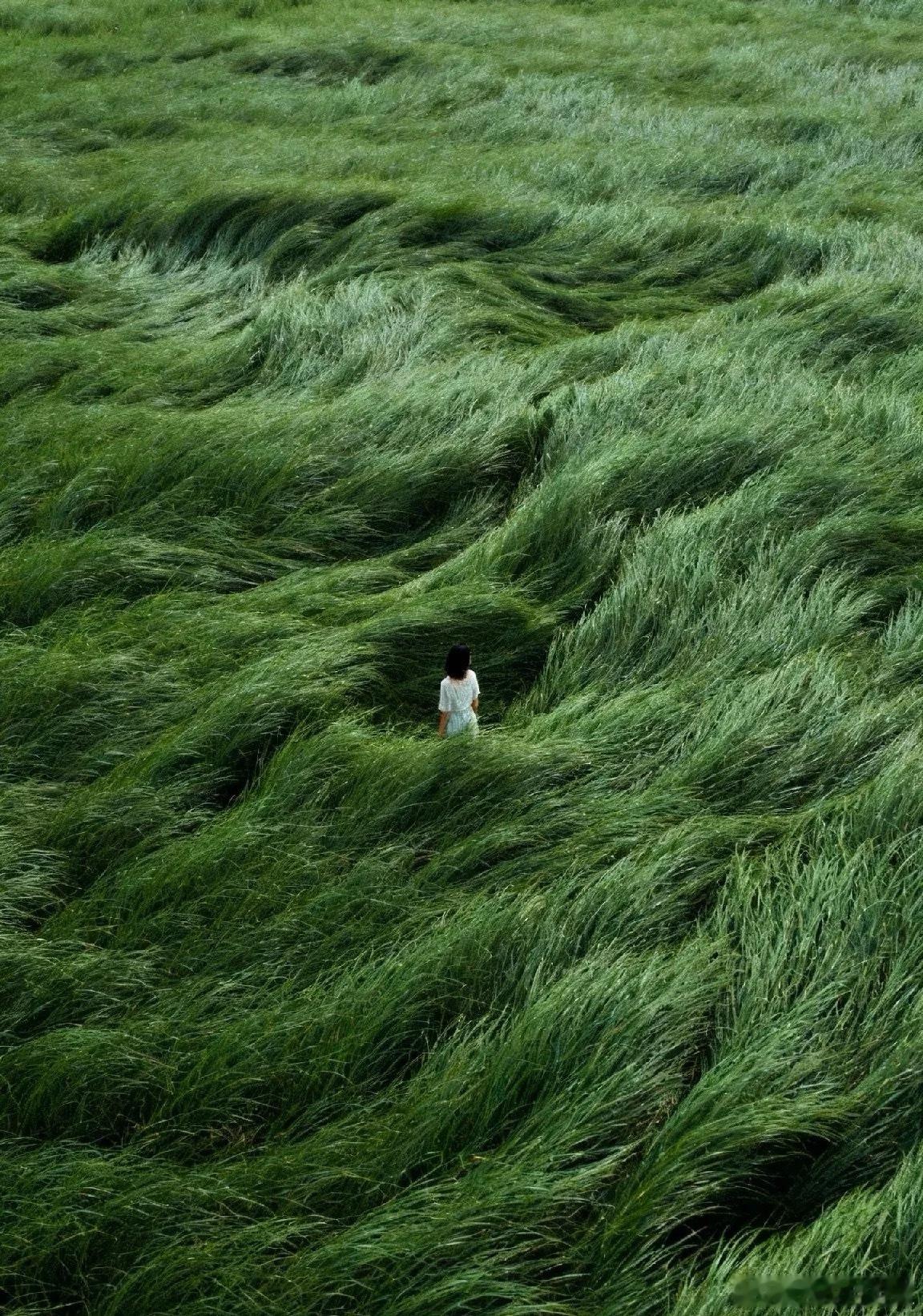 醍醐灌顶的一段话：“解决所有问题的两种方法：要么用自己的能力解决问题，要么用自己