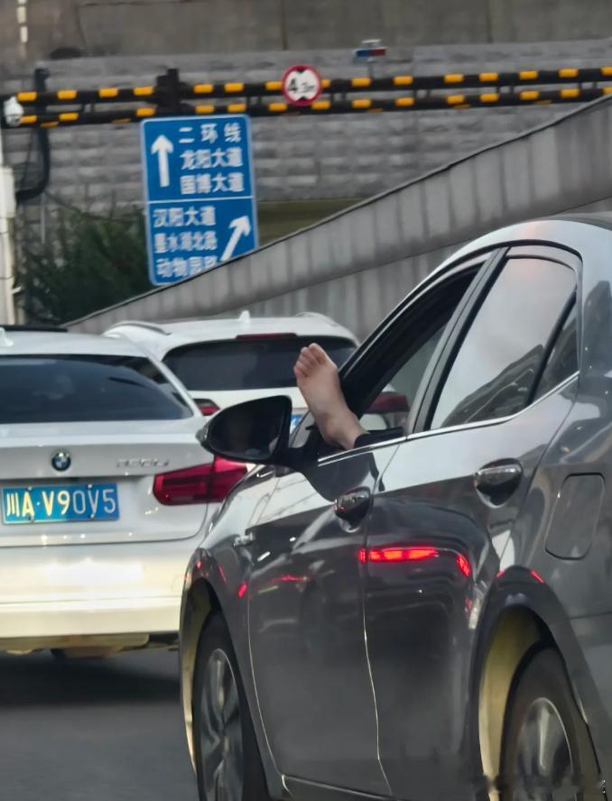 虽然有点儿味儿，但是我还要说，这种开车方式，你至其他人于何地？？？​​​​太不