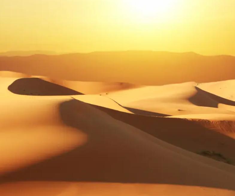 11月19日20国集团专家组以及南非总统呼吁应该关心一下非洲债务问题，特别是他们