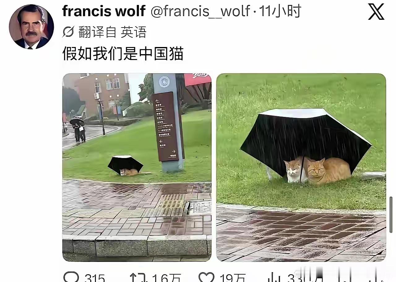 意林体在外网火了​​​