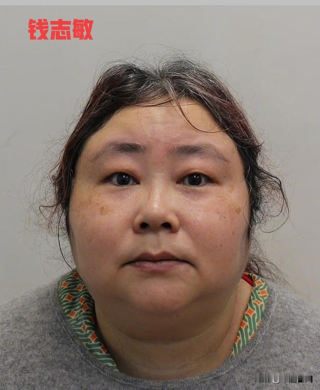 这个猪的智商有点高，骗了那么多钱😒携近500亿比特币逃亡英国的钱志敏，量刑