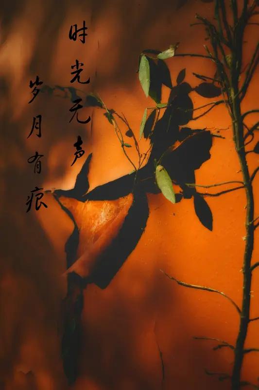 岁月不求永恒，但求绚烂，心灵不求无瑕，但求真诚。看淡万事心自清，人生自在方从容。