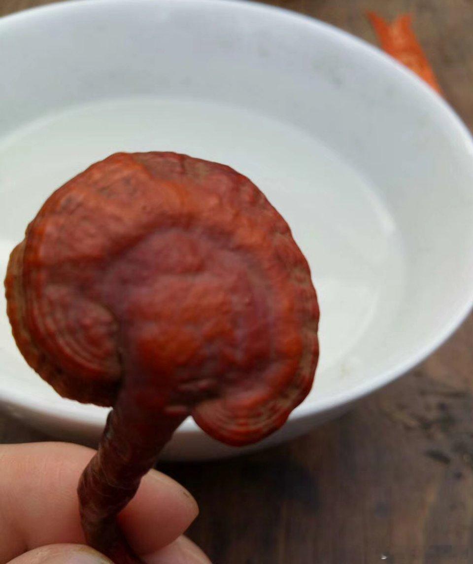 看我捡到了什么好东西？？就是摔了一屁股泥[捂脸哭][捂脸哭][捂脸哭]​​​