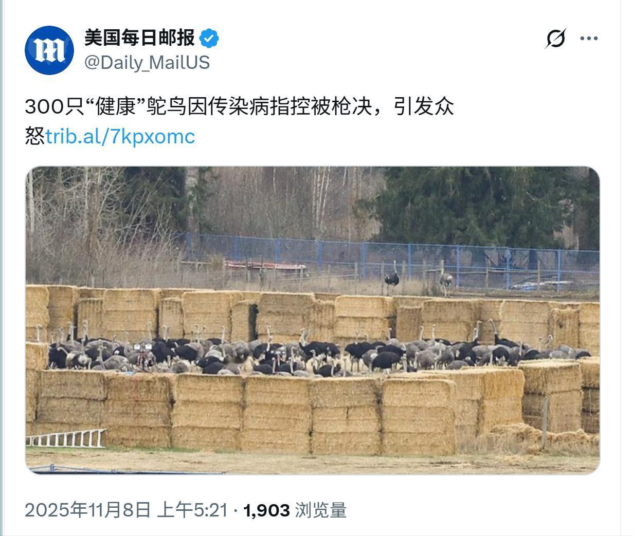 加拿大再次下手，这次是300只鸵鸟！还记得几年前加拿大大批学校后院的“原住民