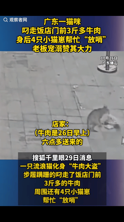 “活该你家发大财！”广东佛山，一饭店老板早上进货3斤多牛肉，刚把肉放到门口，6点