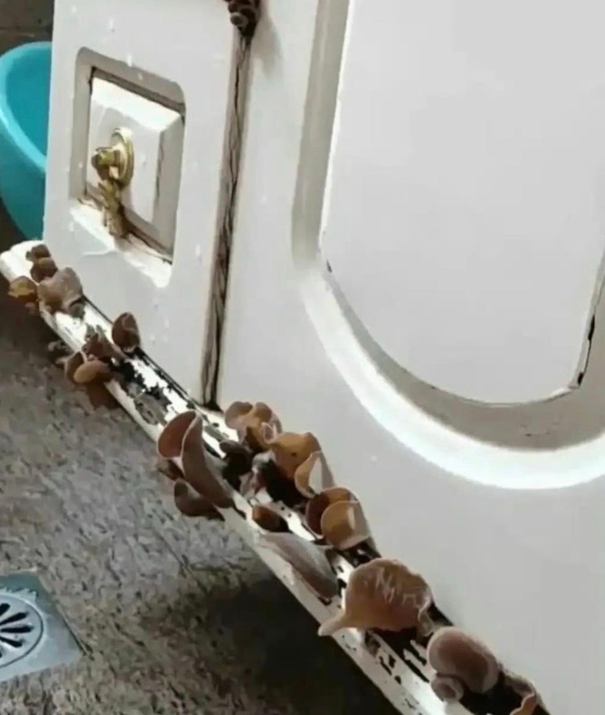 商家应该没骗我，真的是实木的