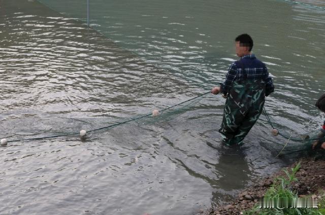 四川成都，钓鱼爱好者小刘与同行者老周相约网鱼，小刘下河涉水时因河水湍急落水，老周